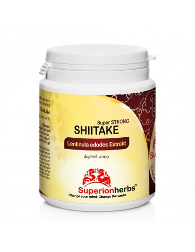 Shiitake – Houževnatec jedlý